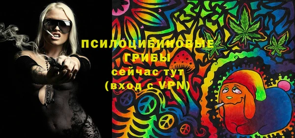 МДПВ Вязьма